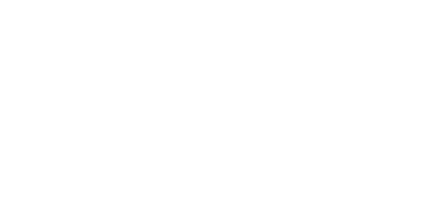 DESIGNERS GUILD