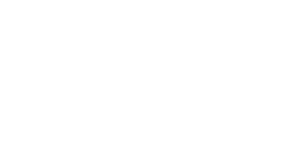 MA SALGUEIRO